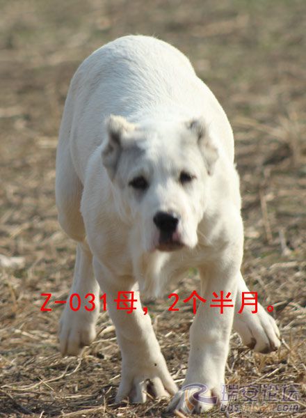104535bdw3d5p3d2vy2y3w.jpg